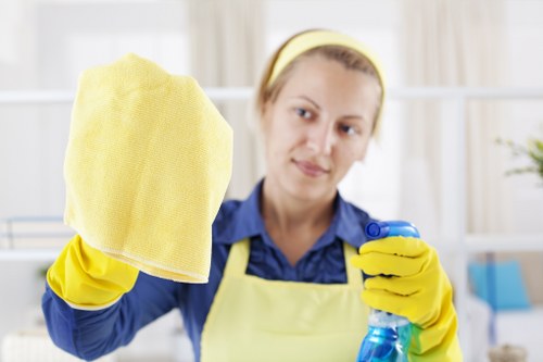 Professional move in cleaning of a bright empty living room