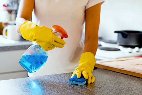 Detailed Airbnb cleaning of a modern kitchen and countertops