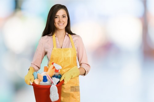 Cleaning supplies arranged for a structured deep cleaning routine