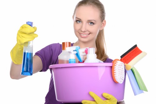 Bathroom cleaning essentials for a hygienic home