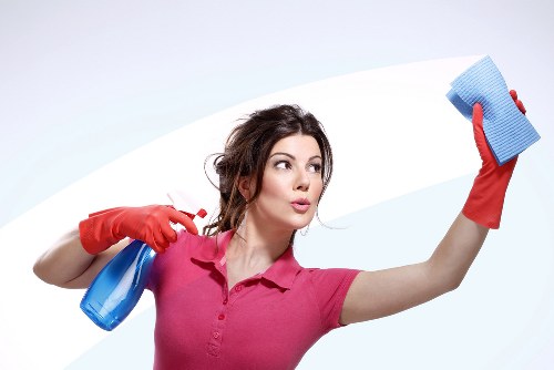 Cleaning supplies arranged for oven cleaning