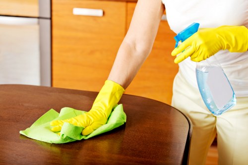 Cleaner wiping bathroom surfaces during move in cleaning